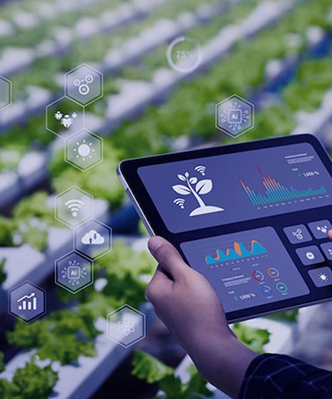 Smart Farming & Agritech  Smart Farming & Agritech